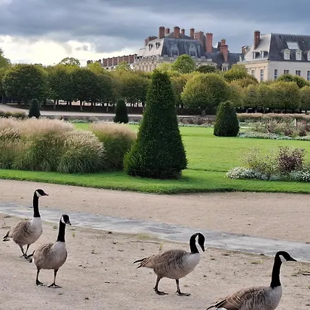 Duplex En Centre-ville *